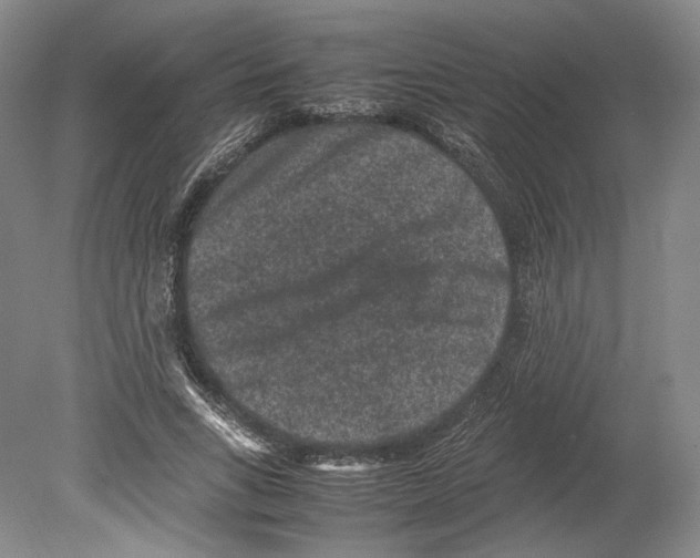 X0000078860735200612111647