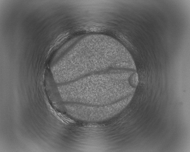 X0000078860738200612111647