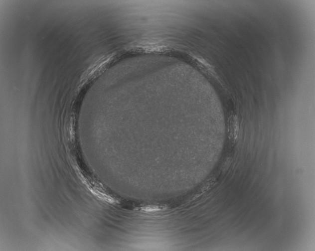 X0000078860740200612111647