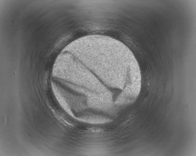 X0000078860742200612111647