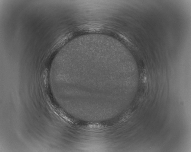X0000078860744200612111647