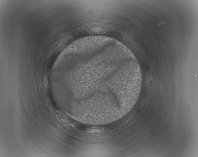 X0000078860746200612111647