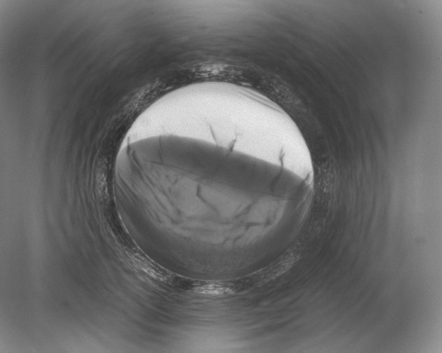 X0000078860754200612111647