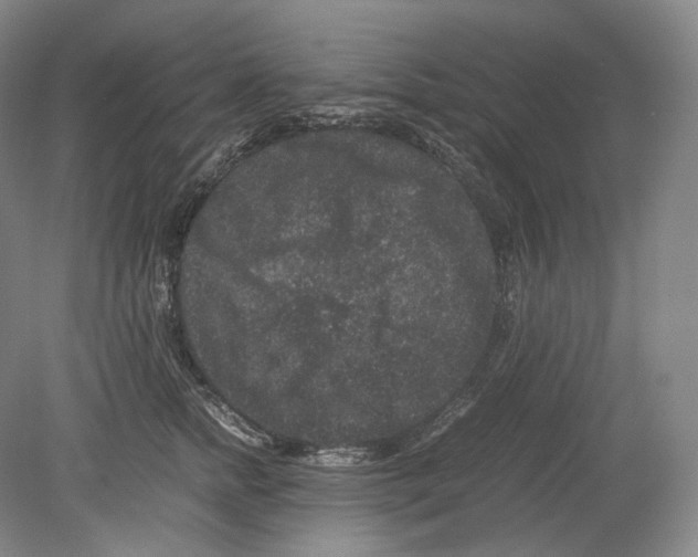 X0000078860758200612111647