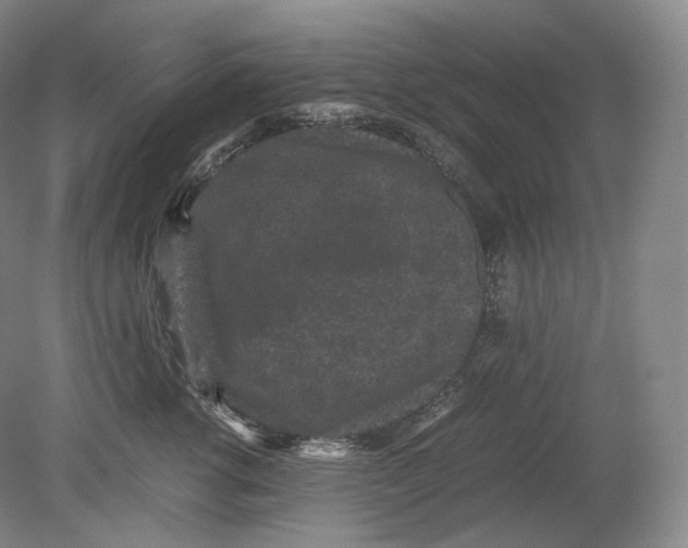 X0000078860762200612111647