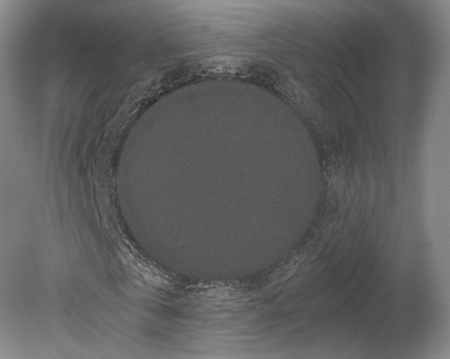 X0000078860769200612111647