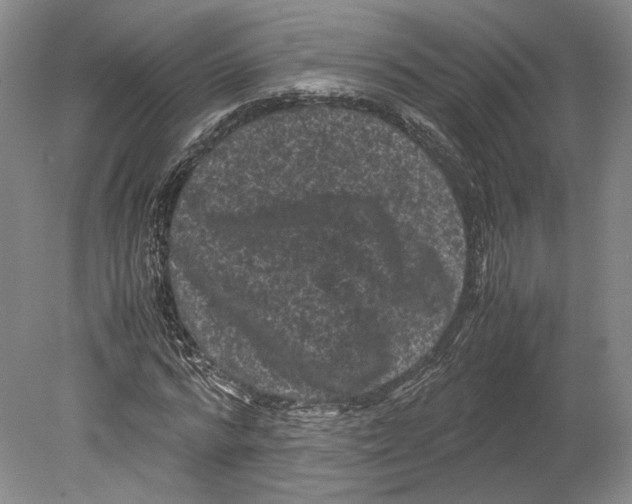 X0000078860776200612111646