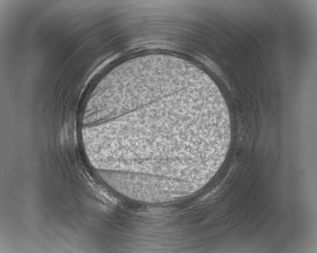 X0000078860782200612111646
