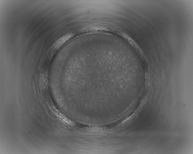 X0000078860785200612111646