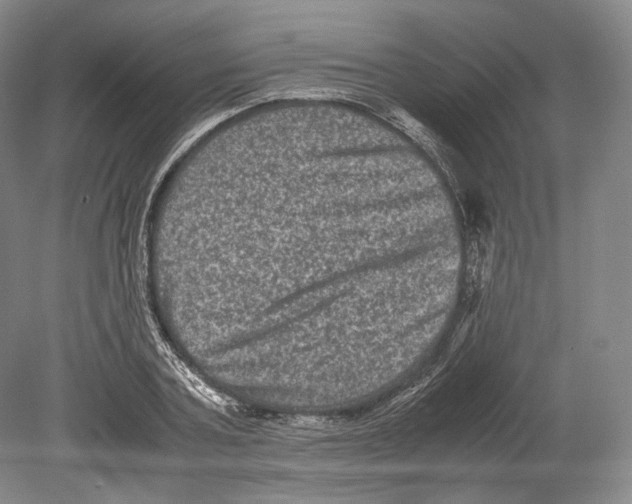 X0000078860787200612111646