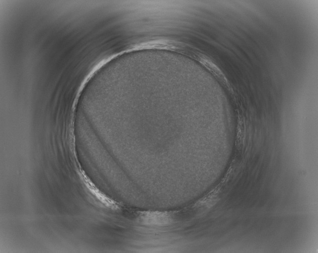 X0000078860800200612111646
