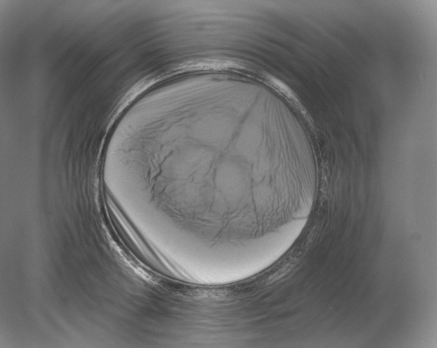 X0000078860802200612111646