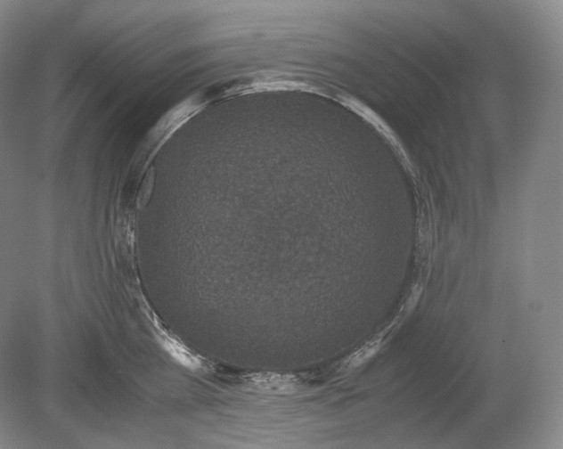X0000078860809200612111646