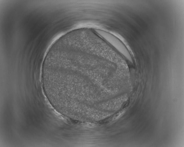 X0000078860815200612111646