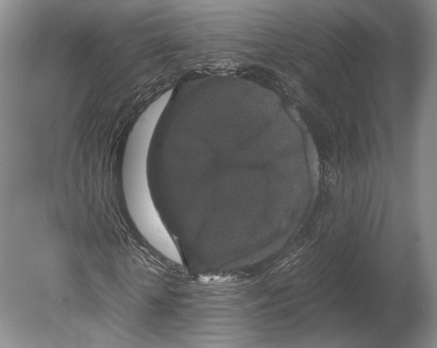 X0000078860818200612111645