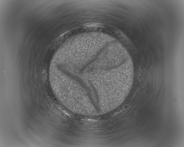 X0000078860821200612111645