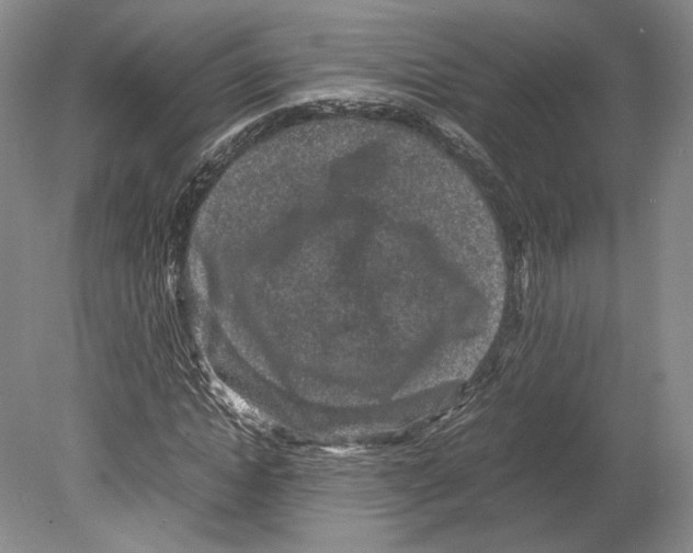 X0000078860822200612111645