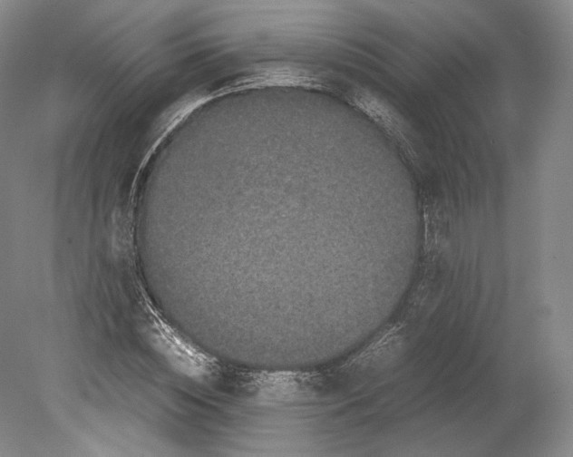 X0000078860828200612111645