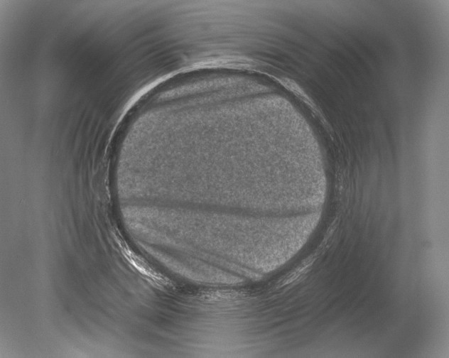X0000078860830200612111645