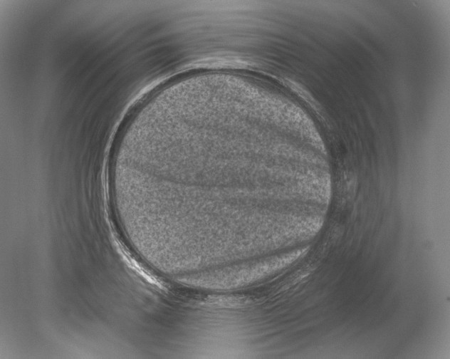 X0000078860840200612111645