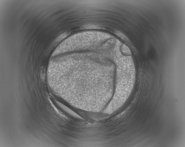 X0000078860841200612111645