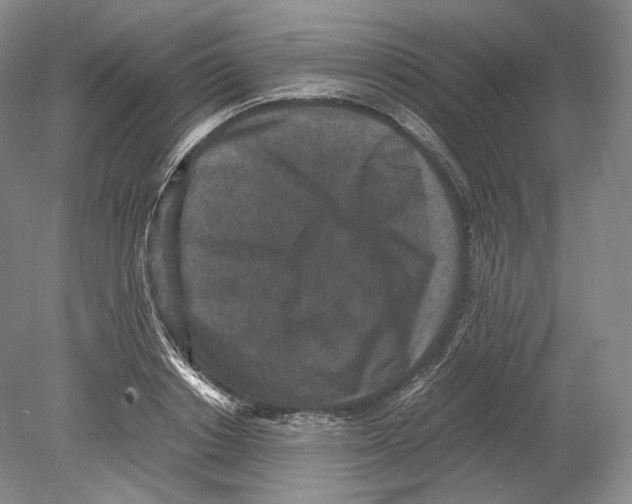 X0000078860842200612111645