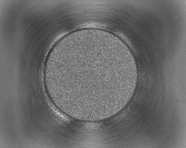 X0000078860848200612111646