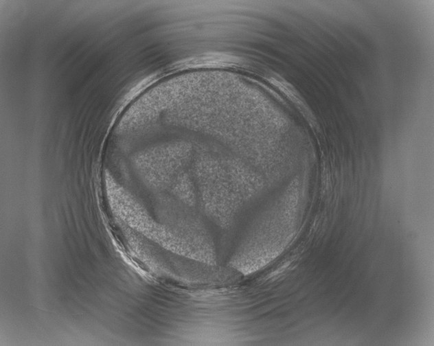 X0000078860850200612111646
