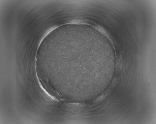X0000078860855200612111646