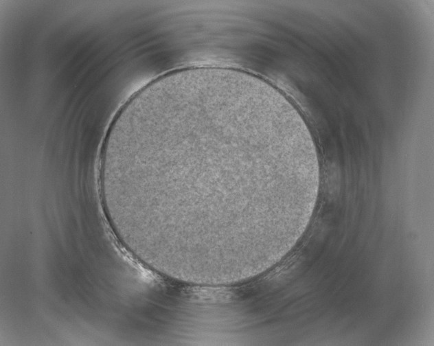 X0000078860856200612111646