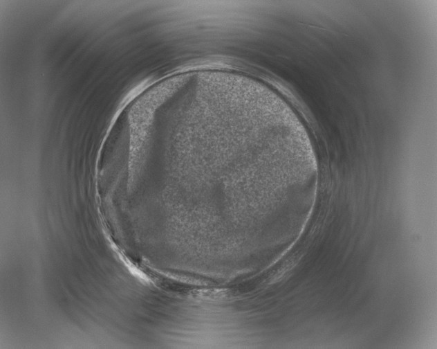 X0000078860858200612111646