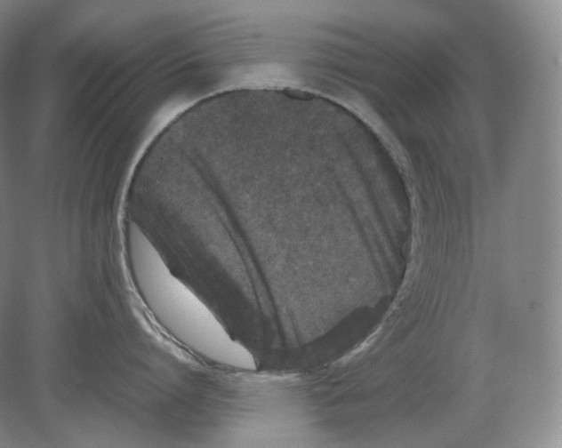 X0000078860864200612111646