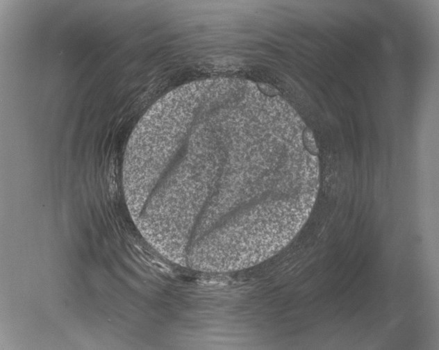 X0000078860866200612111645