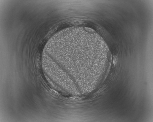 X0000078860867200612111645