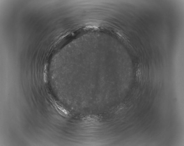X0000078860868200612111645