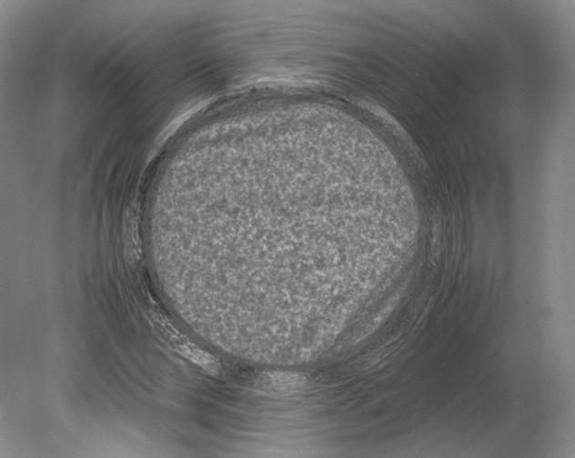X0000078860878200612111645