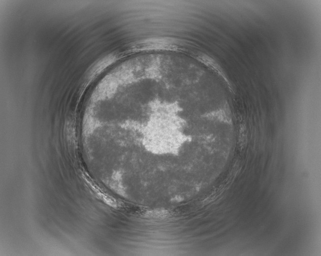 X0000078860882200612111645