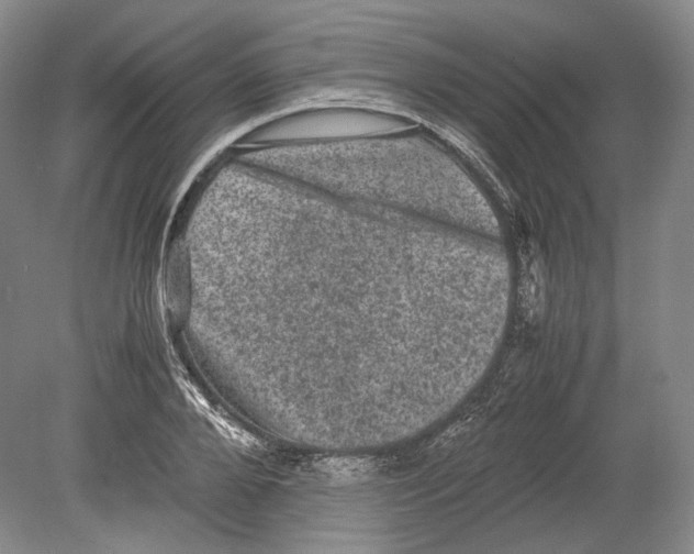X0000078860888200612111645