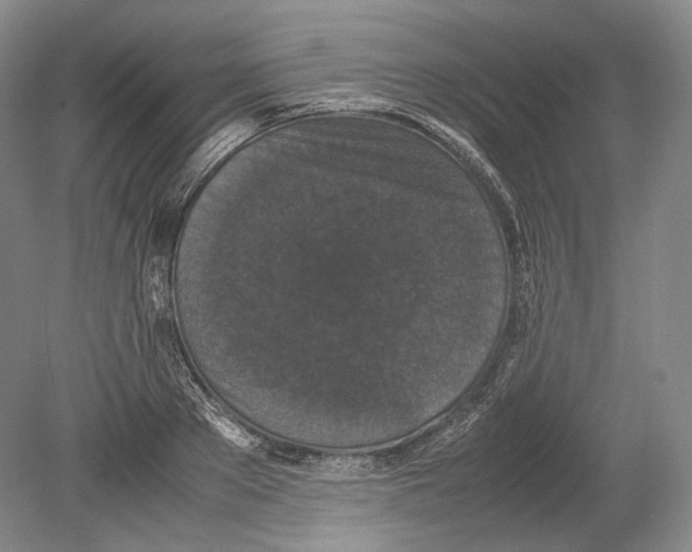 X0000078860889200612111645