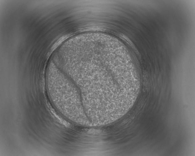 X0000078860890200612111645
