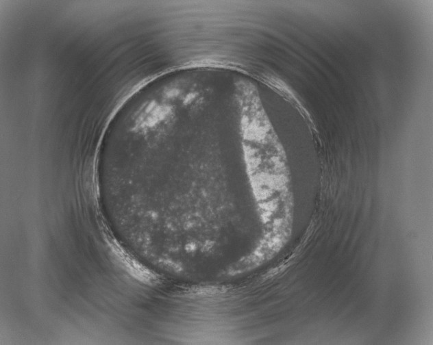 X0000078860892200612111645