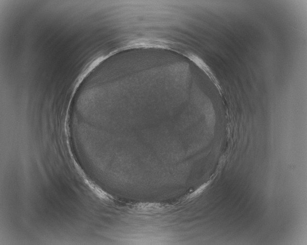 X0000078860893200612111645