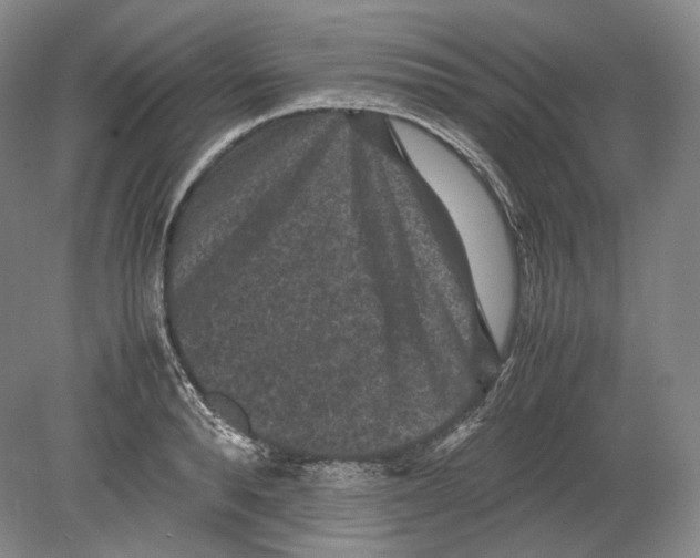 X0000078860896200612111644