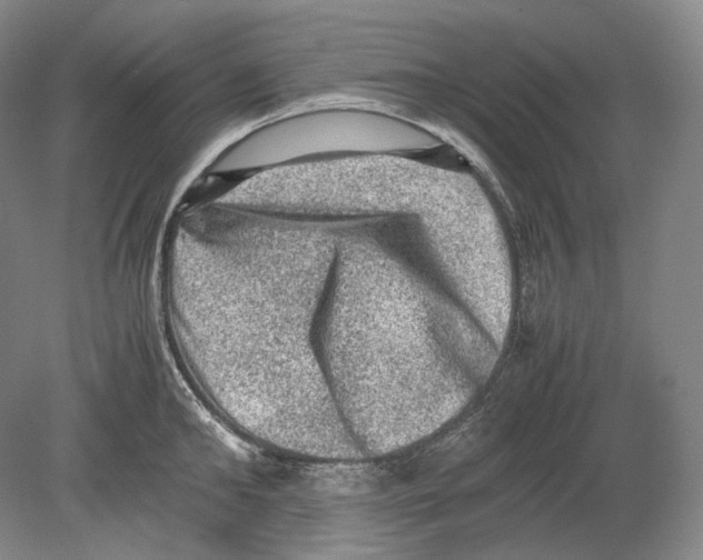 X0000078860902200612111644
