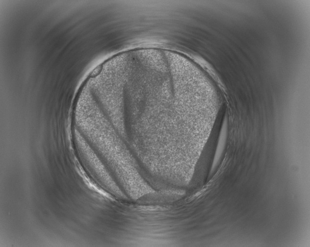 X0000078860904200612111644