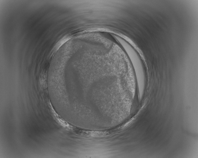 X0000078860905200612111644