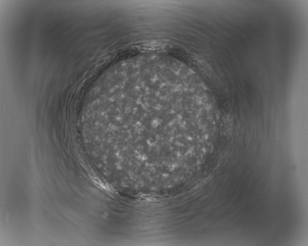 X0000078860913200612111643