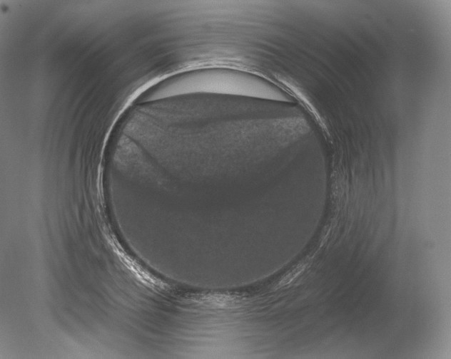 X0000078860932200612111644