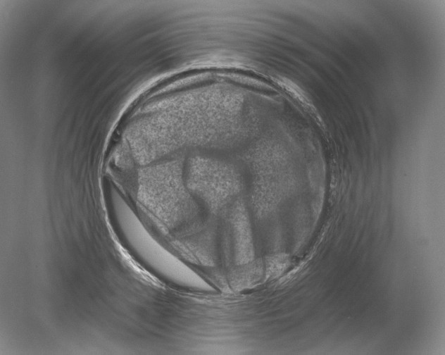 X0000078860942200612111644