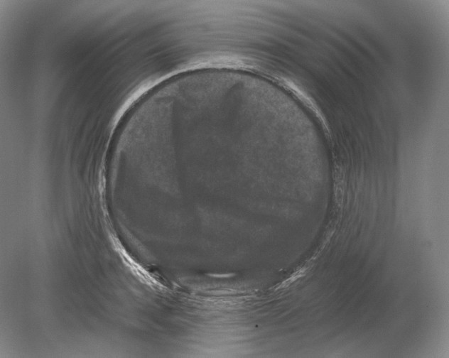 X0000078860944200612111644
